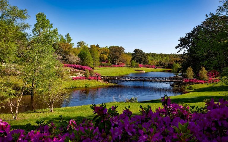 bellingrath-gardens-alabama-landscape-scenic-158063